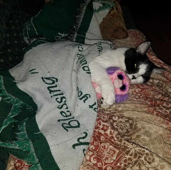 Meet your Posher, Elizabeth - Picture 4 of 4